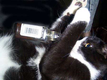 Glug glug glug